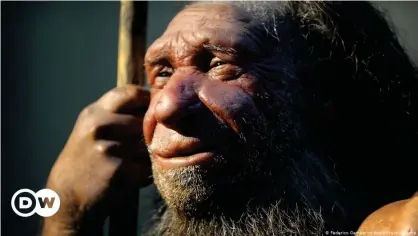  ??  ?? Imagen del Museo del Neandertal en Mettmann, Alemania