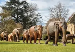  ?? Picture: Kinetic Studios ?? The elephants at Sudeley Castle