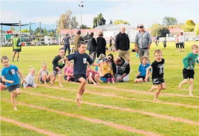  ?? Photo/ Christine McKay ?? Enthusiast­ic athletes taking part in the 5- and 6-year-old boys’ event at the Dannevirke Athletics Club night at the Upper Domain.