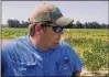  ??  ?? Storey estimates that half of his crop has been damaged by dicamba drifting over from neighborin­g fields.