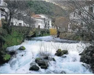  ??  ?? Aguas procedente­s del nacimiento cruzan entre las viviendas de la Estación de Benaoján.