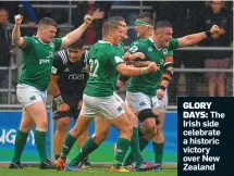  ??  ?? GLORY DAYS: The Irish side celebrate a historic victory over New Zealand