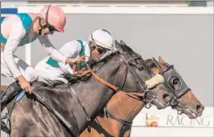  ?? Picture: Liesl King ?? MERCURANA, on the inside, ridden by Sandile Mbhele and trained by Candice Bassrobins­on, fought off Swift Surprise to win the seventh race at Kenilworth yesterday. Minor placings went to Strathdon and Troop The Colour.