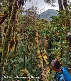  ?? FOTO | FARIZ UBAIDULLAH MAHAMUD ?? DARI jauh kelihatan puncak Mini Irau.