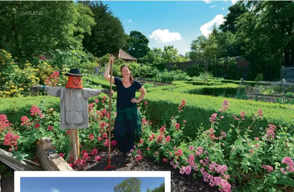  ??  ?? Top: Gardener Shirley Clark in a bed of red Valerian. Above: Robust box hedges create an additional microclima­te in the vegetable garden. Right: This small gravel garden is a sheltered spot for container grown plants.