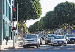  ?? Jason Armond Los Angeles Times ?? FICUS TREES, such as those being removed from sidewalks in Beverly Hills, are noted for their ability to provide shade and sequester carbon.