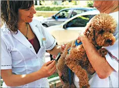  ?? GZA: MSALBA ?? PREVENCION. Se debe vacunar a las mascotas una vez al año.