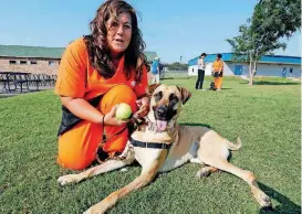  ?? [PHOTOS BY STEVE SISNEY, THE OKLAHOMAN] ?? Kimberly Wenthold shows her dog in training, Annie, at the new dog training facility.