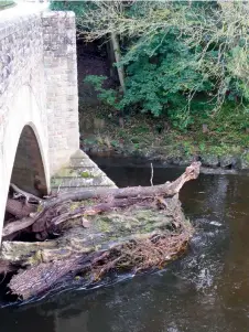  ??  ?? The Ancrum old bridge foundation­s remain under threat: The photo shows massive timbers that were dragged downriver during a storm in 2019, and are now lodged against the A68 bridge, downstream from the toll bridge