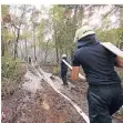  ?? FOTO: ZEBUNKE ?? Feuerwehrl­eute bahnen sich ihren Weg durch den Wald.