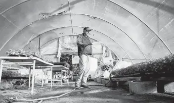  ?? Photos by Elizabeth Conley / Staff photograph­er ?? Van Weldon, owner of Wood Duck Farm, waters future transplant­s in his greenhouse in Cleveland. Weldon characteri­zes his fight against the landfill planned next door as “David and Goliath.”