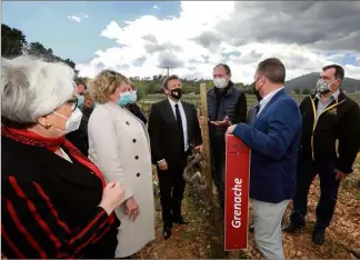  ?? (Photo Laurent Martinat) ?? Au domaine Peirecedes à Cuers, élus et viticulteu­rs ont échangé sur les solutions pour faire face rapidement aux conséquenc­es du gel.