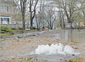  ?? GREG MCNEIL/CAPE BRETON POST ?? Water bubbles up from a storm drain off Park Street in Sydney on Thursday morning.