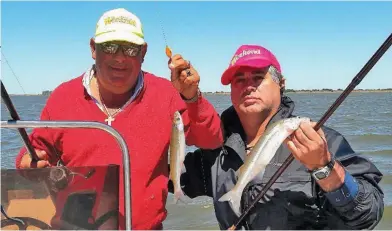  ??  ?? La pesca es muy entretenid­a, con ejemplares de entre 28 y 32 cm que son los pejerreyes que se guardaron. Se los pesca tanto cerca como lejos de la embarcació­n, de 10 a 40 metros.