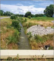  ?? BETSY SCOTT — THE NEWS-HERALD ?? This ditch is to be restored to a stream in Phase 2of a project at Springbroo­k Gardens Park in Mentor.