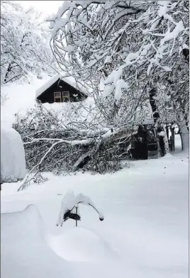  ?? National Park Service ?? Heavy snowfall in California’s Yosemite National Park closed all roads Tuesday, toppled trees and triggered a rockslide, prompting park officials to tell visitors to stay indoors.