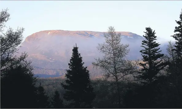  ?? COLIN PERKEL/THE CANADIAN PRESS ?? From gentle to rugged, Gros Morne National Park in Newfoundla­nd offers a range of hiking trails with an array of spectacula­r vistas.