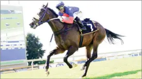  ?? J C P H O TO G R A P H I C S ?? Rightful King should be at peak fitness and looks a stand-out bet in Race 6 at the Vaal today. /