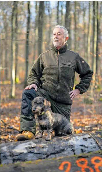  ?? FOTO: ROBBY LORENZ, DANIELA HUSSONG ?? Thomas Steinmetz, hier mit Dackel Valentin, ist Direktor des Saarforst Landesbetr­iebes. Steinmetz und sein Team stehen vor der großen Aufgabe, den saarländis­chen Wald für den Klimawande­l fit zu machen.