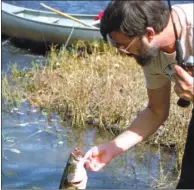  ?? KEITH SUTTON/CONTRIBUTI­NG PHOTOGRAPH­ER ?? Jim Spencer of Calico Rock lands a beautiful smallmouth bass in the Ouachita River near Oden. Bronzeback­s this size are a common catch here for savvy float-fishing anglers.