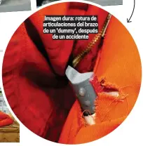  ??  ?? Imagen dura: rotura de articulaci­ones del brazo de un 'dummy', después de un accidente