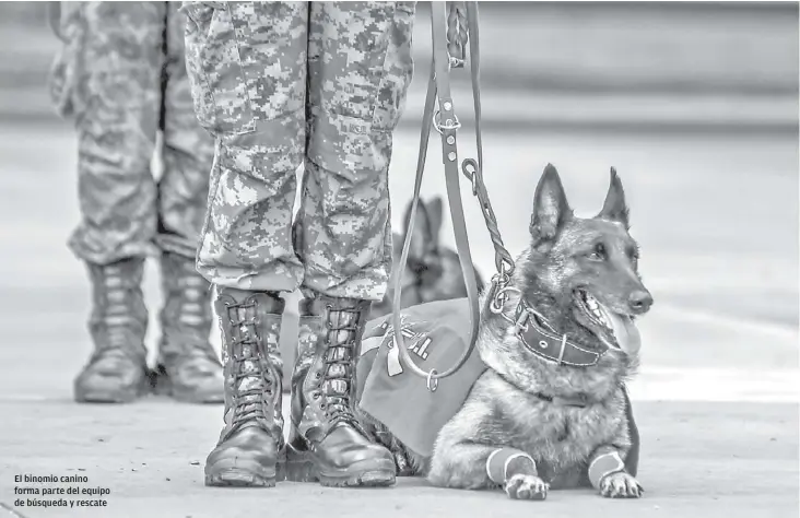  ?? FOTOS: FRANCISCO MARTÍNEZ ?? El binomio canino forma parte del equipo de búsqueda y rescate