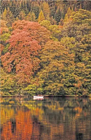  ?? Inset: a common treecreepe­r ?? Loch Faskally with fly fishing boat and autumn trees in background making a spectacula­r image
