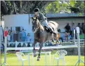  ?? Picture: LOUISE CARTER ?? REACHING NEW HEIGHTS: One of the riders in the adult working hunter class division performed excellentl­y at the Bathurst Agricultur­al Show last year, clearing all the jumps in her round