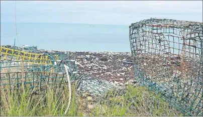  ?? GREG MCNEIL/CAPE BRETON POST ?? A pair of lobster traps that have washed ashore near Schooner Pond in Donkin are shown. Off in the distance is a lobster boat setting more traps. High winds washed many traps ashore this weekend.