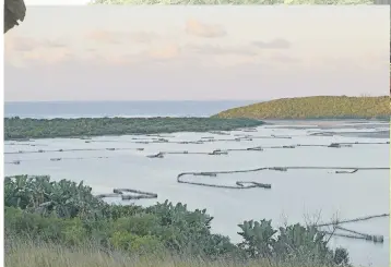  ??  ?? TRAPS. A view of the fish traps in the lagoon at Kosi Bay.