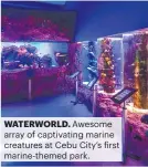  ?? ?? WATERWORLD. Awesome array of captivatin­g marine creatures at Cebu City’s first marine-themed park.