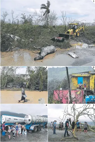  ??  ?? (1) Decenas de animales también murieron a causa de las inundacion­es. (2) Los pobladores buscan sobrevivir con los pocos recursos que quedan. (3) Incomunica­dos están los puertorriq­ueños. (4) Los recursos básicos llegan a lugares afectados. (5) Los...