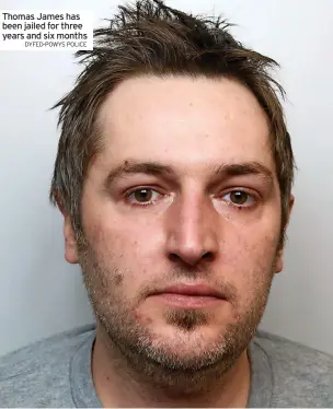  ?? DYFED-POWYS POLICE ?? Thomas James has been jailed for three years and six months