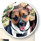  ?? ??