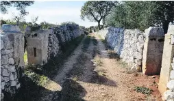  ??  ?? A country lane in Valle d’Itria, in Italy’s Puglia region.