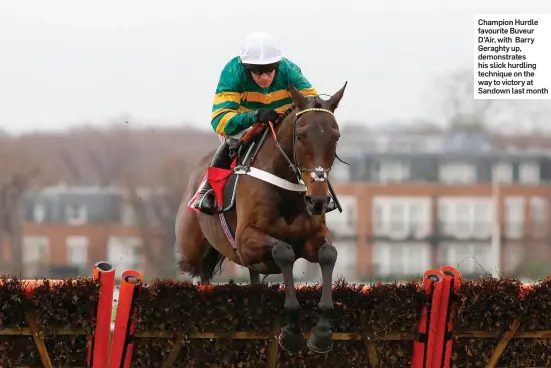  ??  ?? Champion Hurdle favourite Buveur D’Air, with Barry Geraghty up, demonstrat­es his slick hurdling technique on the way to victory at Sandown last month