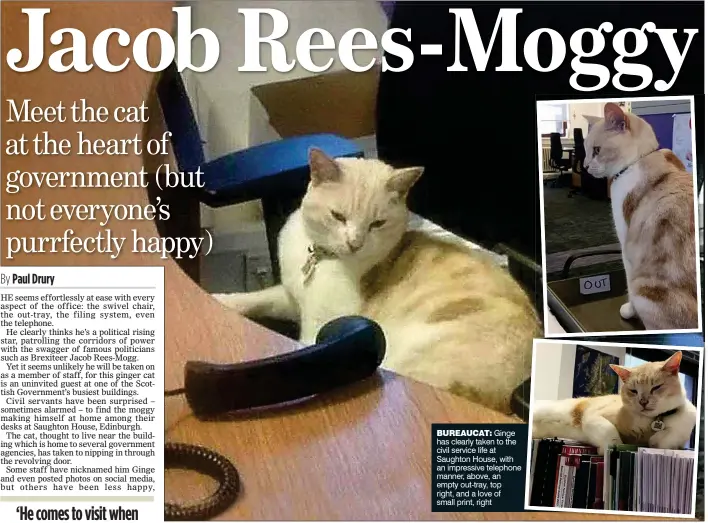  ??  ?? BUREAUCAT: Ginge has clearly taken to the civil service life at Saughton House, with an impressive telephone manner, above, an empty out-tray, top right, and a love of small print, right