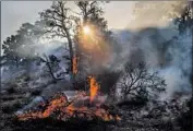  ?? Allen J. Schaben Los Angeles Times ?? THE BOBCAT fire continues to burn in the Angeles National Forest near Llano, Calif., east of Palmdale.