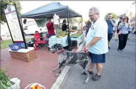  ?? NWA Democrat-Gazette/FLIP PUTTHOFF ?? Mike Butler of Siloam Springs and his dog, Shiloh, shop Sept. 16 at the Bentonvill­e Farmers Market.
