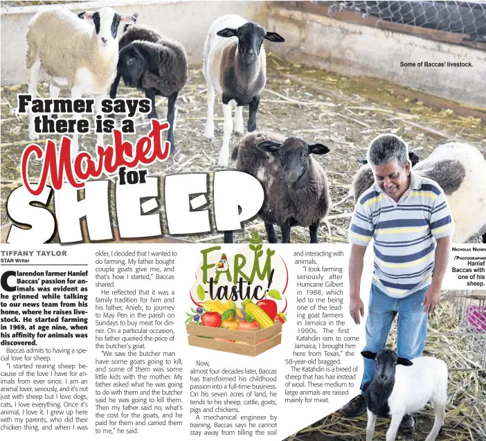 Farmer says there is a Market for HEEPS - PressReader