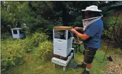  ?? JOSE CARLOS FAJARDO — STAFF PHOTOGRAPH­ER ?? John Sevigny tends to a beehive in the front yard of his Napa home on Friday. Smoke is a threat to bees, Sevigny said.