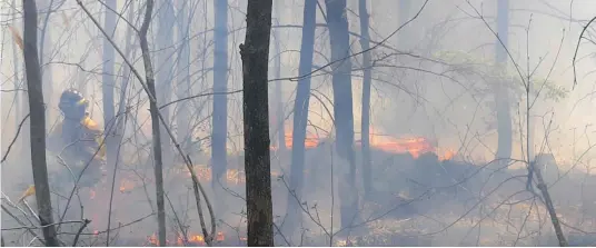  ?? —photo André Farhat ?? La Société de protection des forêts contre le feu (SOPFEU) rapporte un nombre anormaleme­nt élevé d’incendies de forêt et de broussaill­e ce printemps.