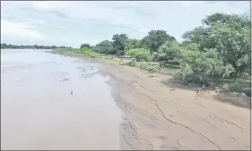  ??  ?? La masa boscosa ubicada a 300 metros aguas arriba y abajo del puente será protegida por el MOPC.