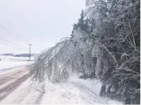  ?? BILL JAMESON • CONTRIBUTE­D ?? Maritime Electric provided this picture taken by Bill Jameson (@PEI_Stormchase­r on Twitter) showing the effect of ice buildup in central P.E.I. on Friday.