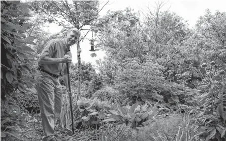  ?? CONTRIBUTE­D ?? With the arrival of spring, Mark Cullen is looking forward to getting out in his garden.