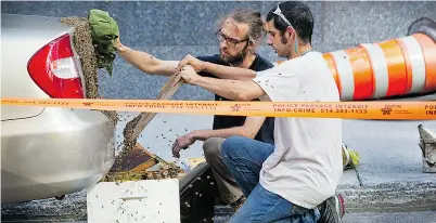  ?? / THE GAZETTE ?? Marie-France Coallier Bee experts Alexandre Beaudoin, left, and Micheal Mage move a swarm of bees on Monday.