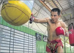  ?? Picture: AFP ?? POCKET DYNAMO: This January file photo shows Thai WBC mini-flyweight champion ‘dwarf giant’ Wanheng Menayothin who, at 1.57m and 47.6kg, today takes aim at the record of boxing great Floyd Mayweather Jr, who retired undefeated over 50 fights. Wanheng...