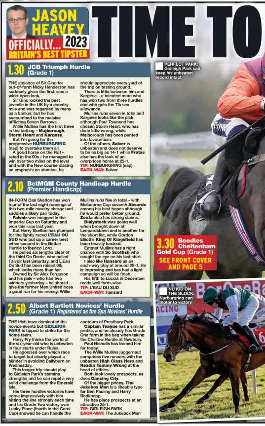  ?? ?? PERFECT PARK: Gidleigh Park can keep his unbeaten record intact 3.30 Boodles Cheltenham Gold Cup (Grade 1)
SEE FRONT COVER AND PAGE 5