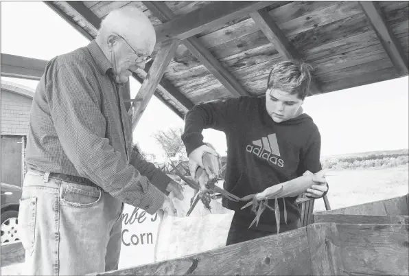  ?? ANDREW RANKIN ?? Parker Smiley keeps his customer Glenn Ells happy with an order of five dozen corn at Newcombe Sweet Corn in Upper Canard on Aug. 26.