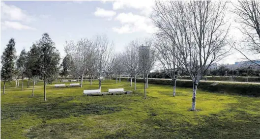  ?? JAIME GALINDO ?? La silueta de los edificios de la Expo acompaña a los que acuden al Parque del Agua a pasear o pasar el día.